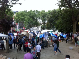 Small section of Gezi, 12 June 2013