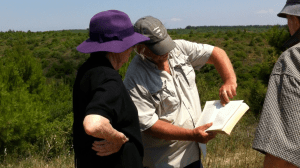 Screen Shot 2013-08-02 at 12.28.17 PM